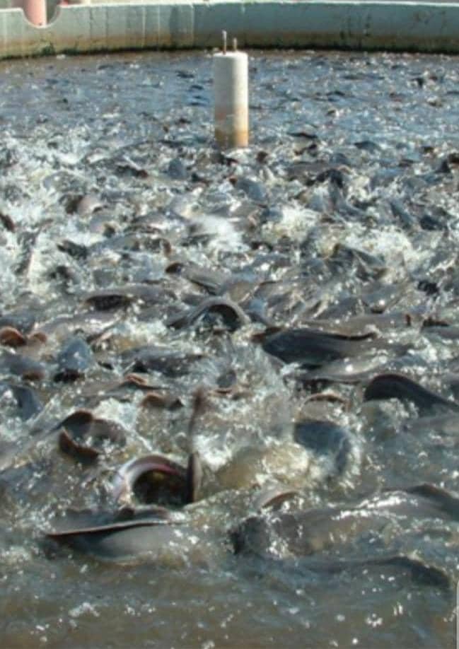 WhatsApp Image 2025-03-04 at 6.40.01 PM