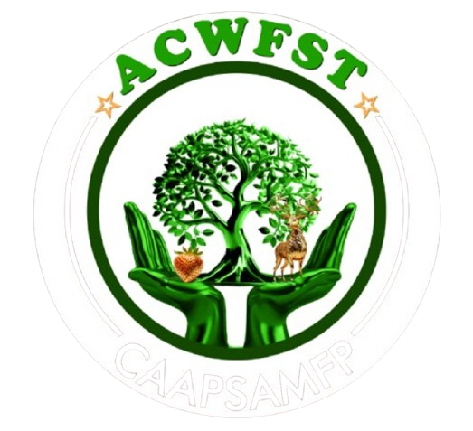 v5qr8utp_copy-removebg-preview